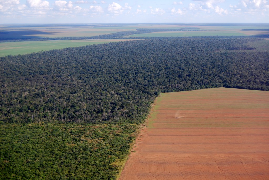 Eliminating deforestation in Brazil demands further ambitious action
