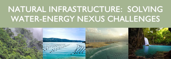 NATURAL INFRASTRUCTURE: SOLVING WATER-ENERGY NEXUS CHALLENGES