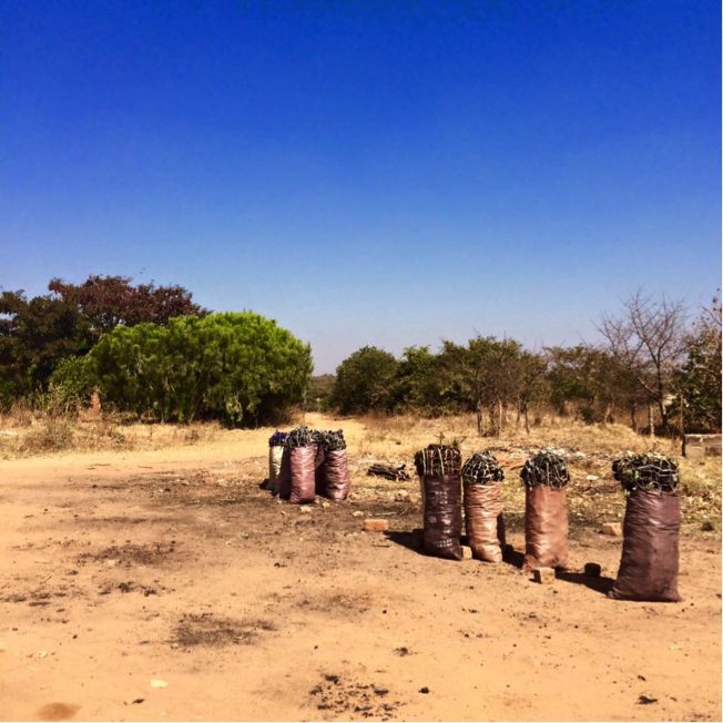 Charcoal production in Zambia