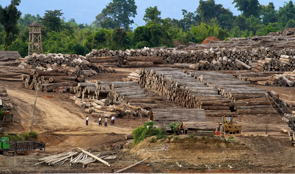 Logging camp_Myanmar_shutterstock_261884510