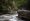 Con la reforestación de 744 hectáreas en la microcuenca de Pusmalca se tendrá más agua para la población y la agricultura