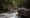 Con la reforestación de 744 hectáreas en la microcuenca de Pusmalca se tendrá más agua para la población y la agricultura