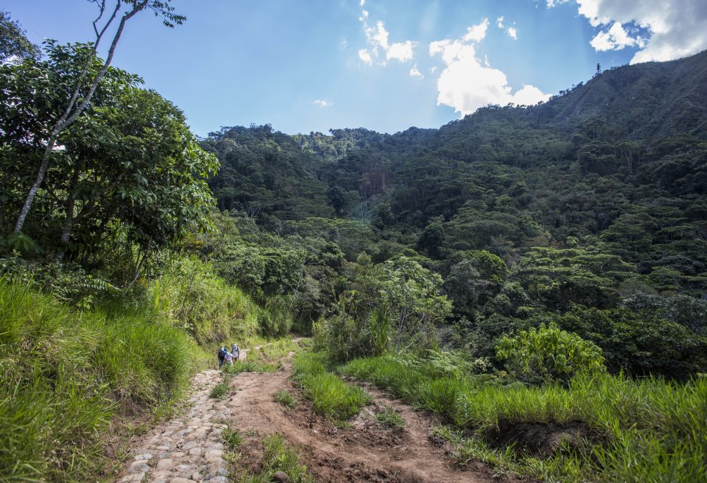 San Martín une esfuerzos para conservar los ecosistemas y las fuentes de agua