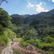 San Martín une esfuerzos para conservar los ecosistemas y las fuentes de agua