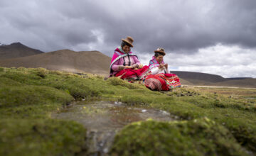Arequipa: Destinan más de S/ 4 millones para la conservación de la Reserva Nacional Salinas y Aguada Blanca