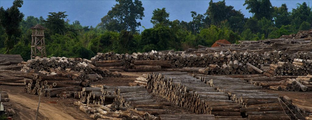 Environmental peace-building in Myanmar - Forest Trends