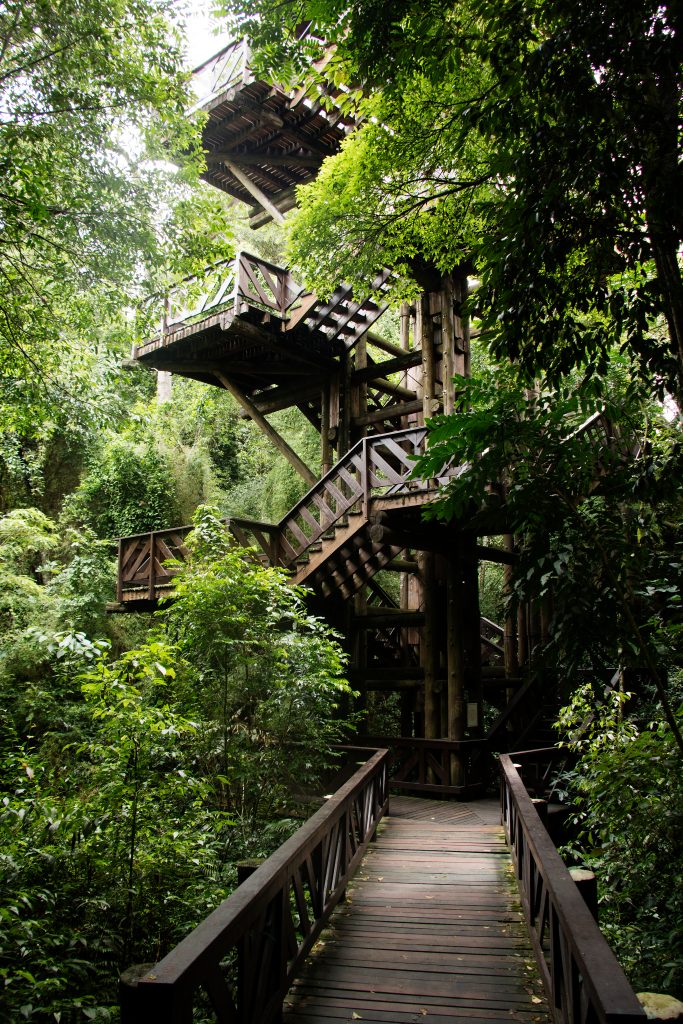 Philosophers Tower at Bosque Alemao (German Forest Park) Public park