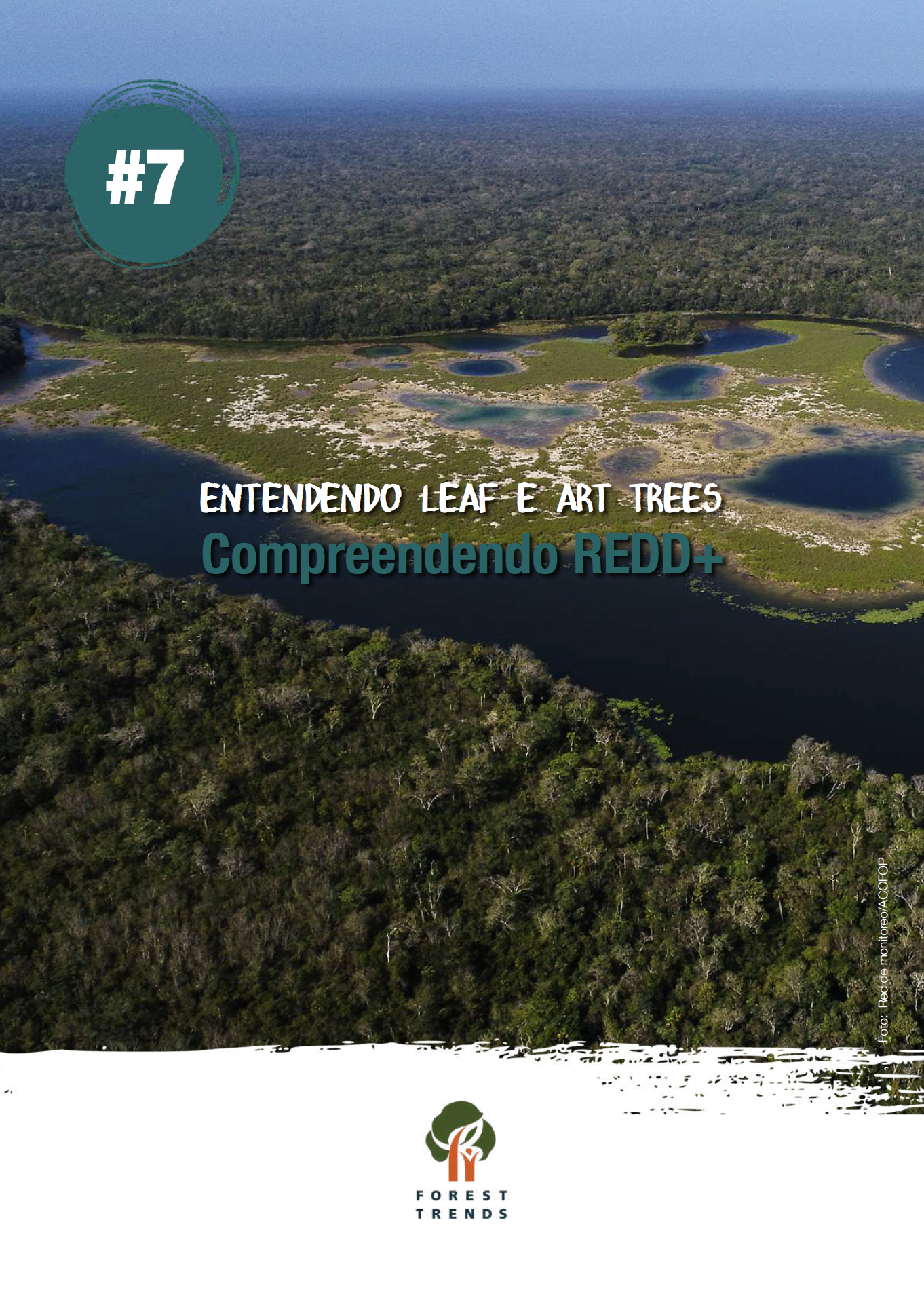Arquivo de CoLAB ForestWISE - Ambiente Magazine